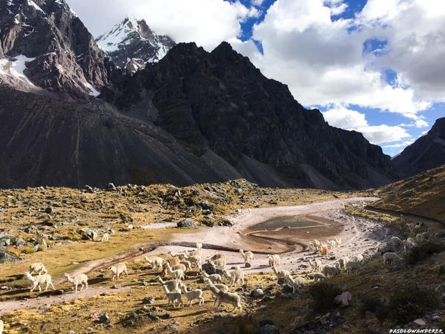 Ausangate Trek, Cusco, Peru