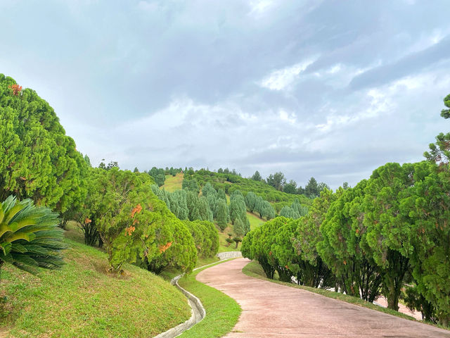Rise & Shine at Taman Saujana Hijau: Where Joggers Meet Oxygen and Selfies! Rise & Shine at Taman Saujana Hijau: Where Joggers Meet Oxygen and Selfies!