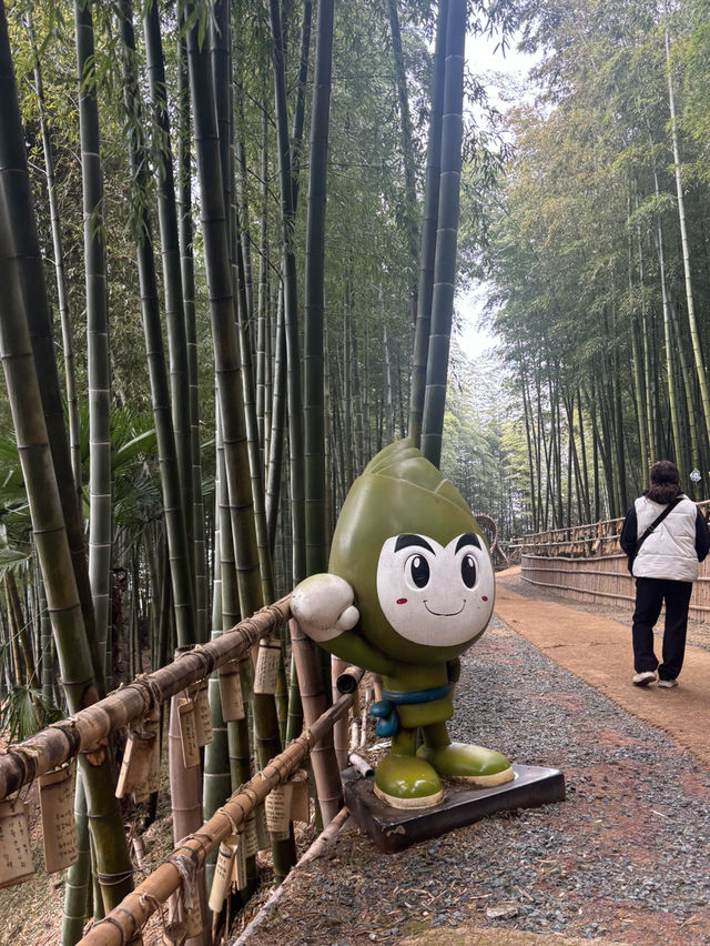 거제맹종죽테마파크