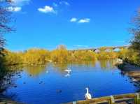 Reddish Vale Country Park – Nature on the Edge of the City