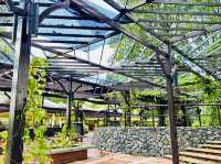 Climb into Nature’s Charm at Laman Pepanjat! 