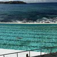 Australia Trip