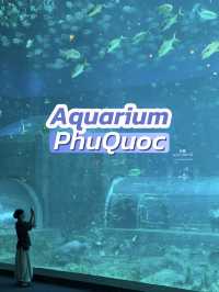 🌊✨ VinWonders Phu Quoc – โซน Aquarium