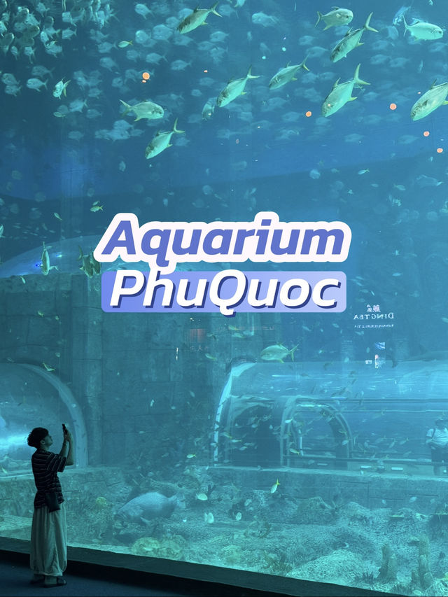 🌊✨ VinWonders Phu Quoc – โซน Aquarium
