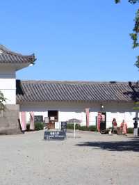【小田原】いつ訪れても素敵な、季節ごとに表情豊かな景色を楽しむことができる城