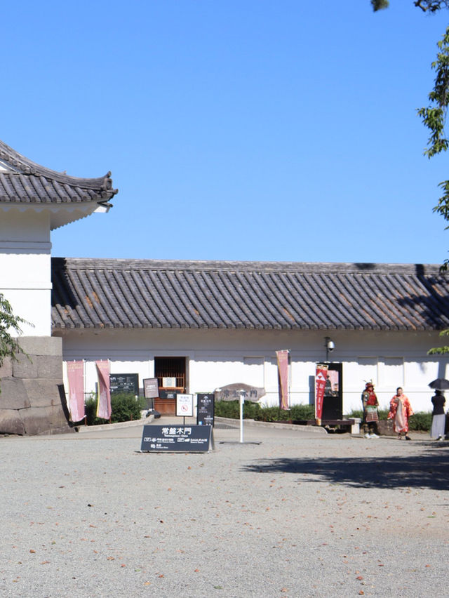 【小田原】いつ訪れても素敵な、季節ごとに表情豊かな景色を楽しむことができる城