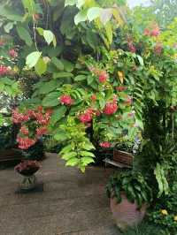 the Secret Garden, Upper Roof @ One Utama, Petaling jaya