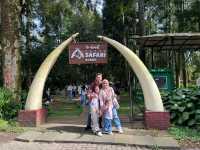 TikTok doesn’t help much. Let me make your life easier when visiting Taman Safari Bogor.