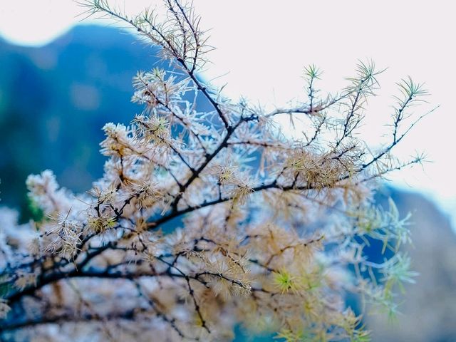 เที่ยวอุทยานปี้เผิงโกว (Bipenggou)