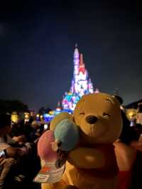 Hong Kong Disneyland 🏰