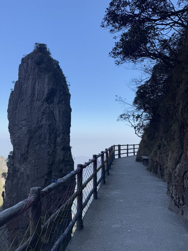 莽山五指峰雲海日出奇景🌄  
