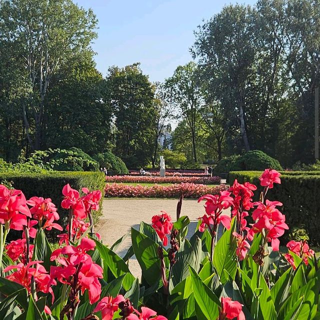 Saxon GardenOgród Saski