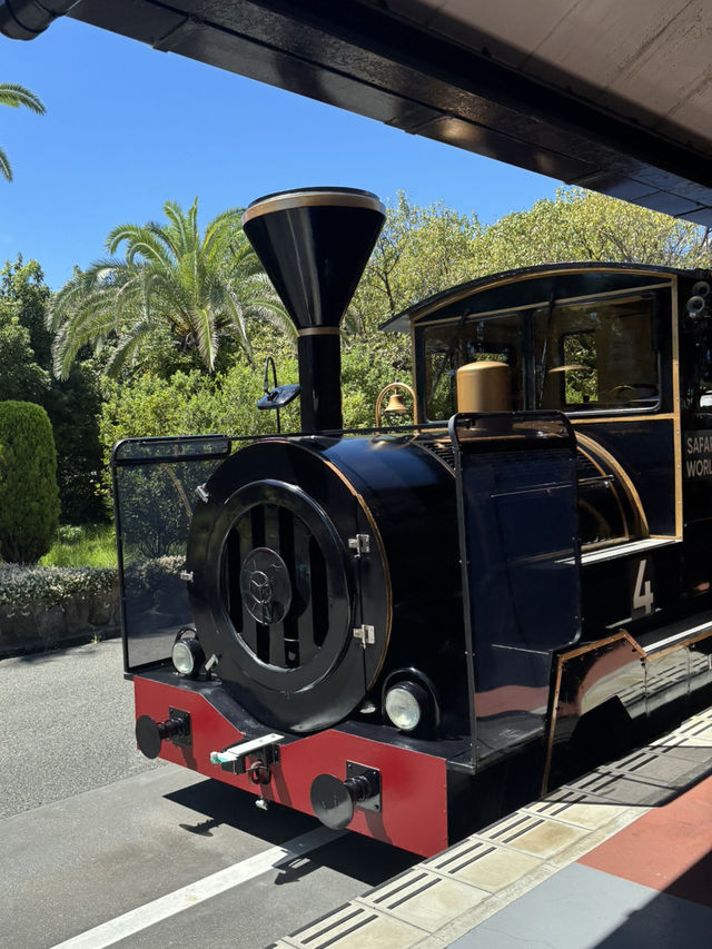 🇯🇵 Shirahama Adventure World Zoo Day🦒 🇯🇵 Shirahama Adventure World Zoo Day🦒