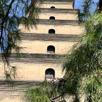 🕰 Day Trip in Xi’an — From Tang Dynasty Heritage to Modern Lights