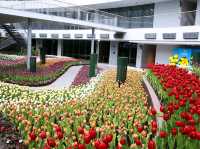 🌷 Flora Exhivition Hallโฉมใหม่