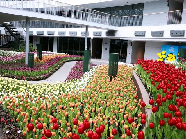 🌷 Flora Exhivition Hallโฉมใหม่ 🌷 Flora Exhivition Hallโฉมใหม่