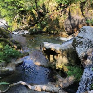 Barragem da Queimadela – Leisure & Nature by Fafe’s Quiet Waters