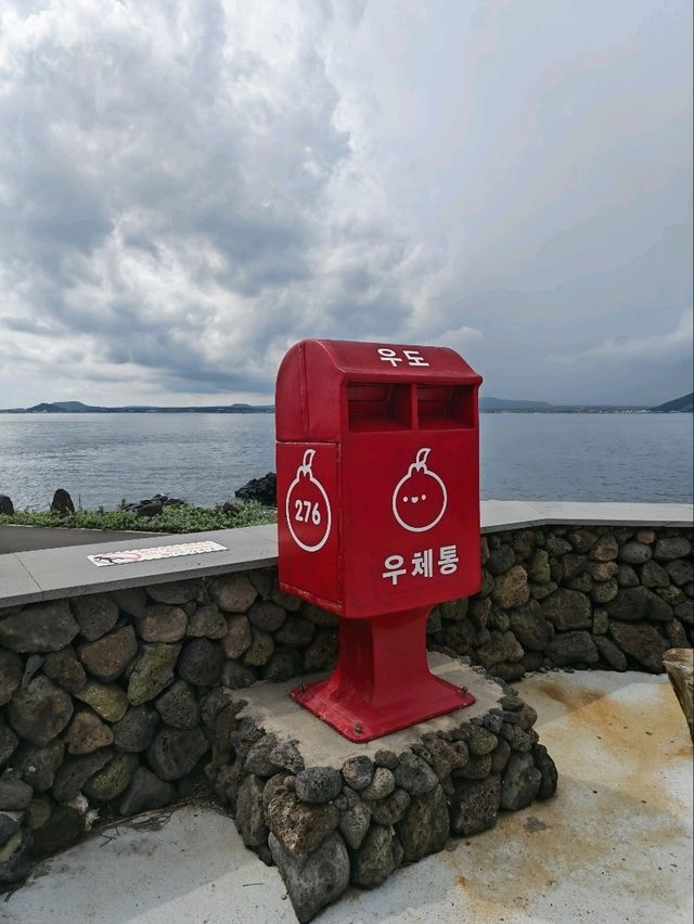 牛島單車遊