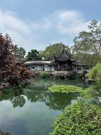 蘇州最精緻的古典園林-網師園✨
