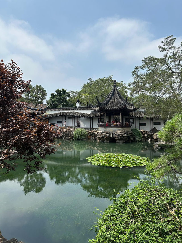 蘇州最精緻的古典園林-網師園✨