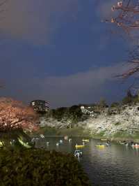 2025.03.28 櫻花季東京獨旅五天四夜行程 p6 第四天行程大公開(6.東京鐵塔)