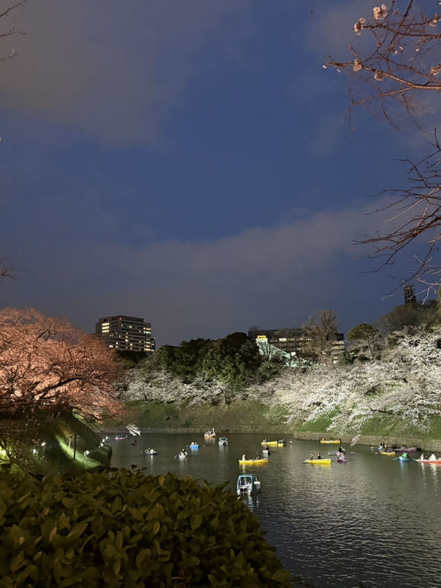2025.03.28 櫻花季東京獨旅五天四夜行程 p6 第四天行程大公開(6.東京鐵塔) 2025.03.28 櫻花季東京獨旅五天四夜行程 p6 第四天行程大公開(6.東京鐵塔)