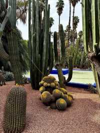 A Colorful Oasis at Le Jardin Majorelle in Marrakesh, Marrakesh-Safi