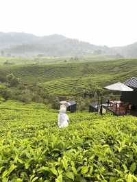 HealingStaycation: Bobocabin Pangalengan