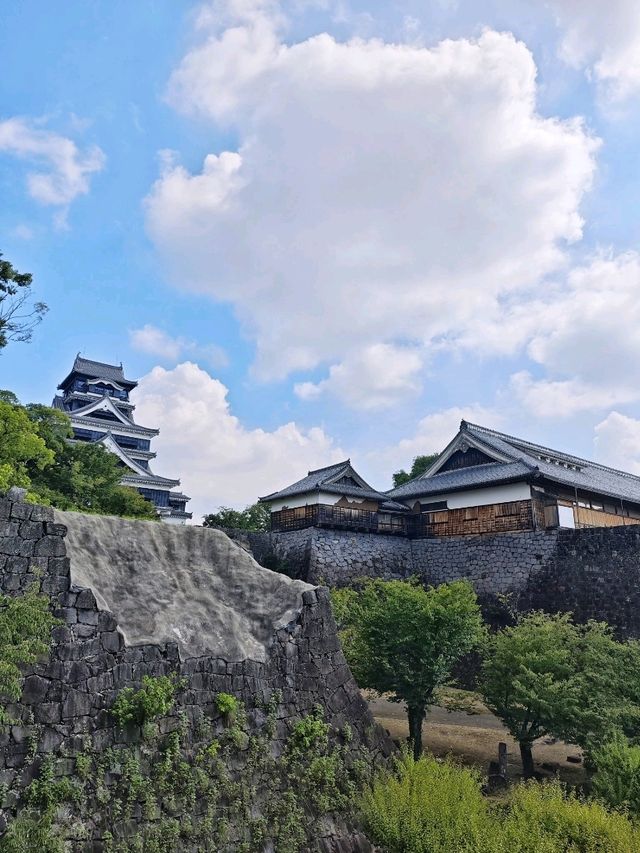 熊本城🏯歷史與🇯🇵重生之旅