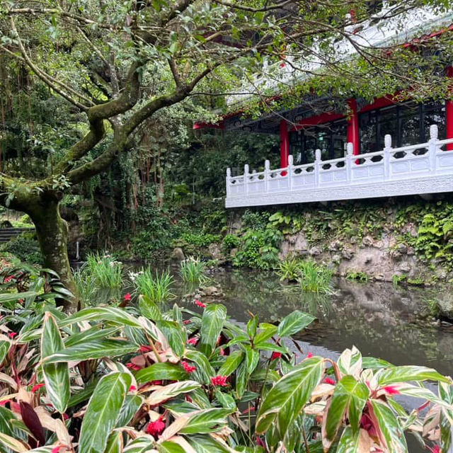 🌸⛰️ Yangming Park – The Heart of Yangmingshan 🌳✨