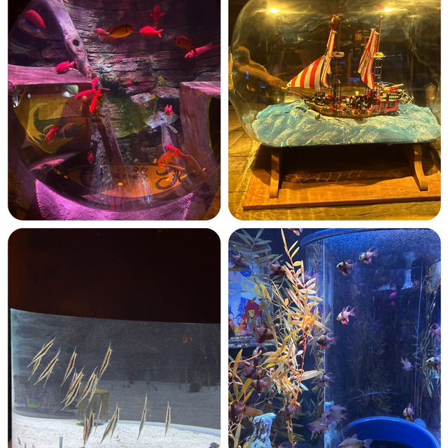 名古屋有名景點之一 Legoland及Sealife水族館