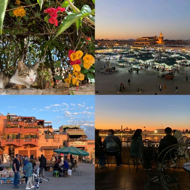 Jemaa el-Fnaa Vibes🌇
