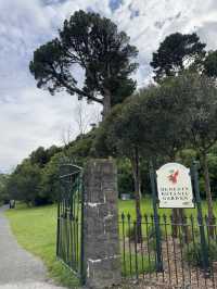 ใใใฅใผใธใผใฉใณใใปใใใผใใณใๅญฃ็ฏใฎ่ฑใ
ใจ็ใใฎ็ฉบ้ใใใใผใใณใปใใฟใใใฏใปใฌใผใใณใ๐ผ๐๏ธ