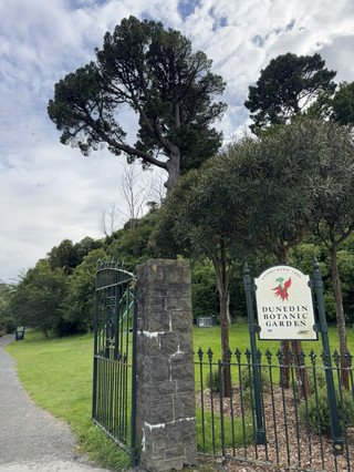 [Dunedin, New Zealand] Seasonal flowers and a relaxing space at Dunedin Botanic Gardens 🌼🕊️