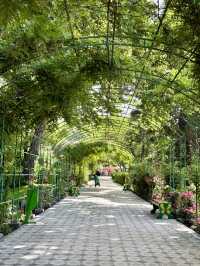 🌿 Park Hopping for Peace in Dushanbe