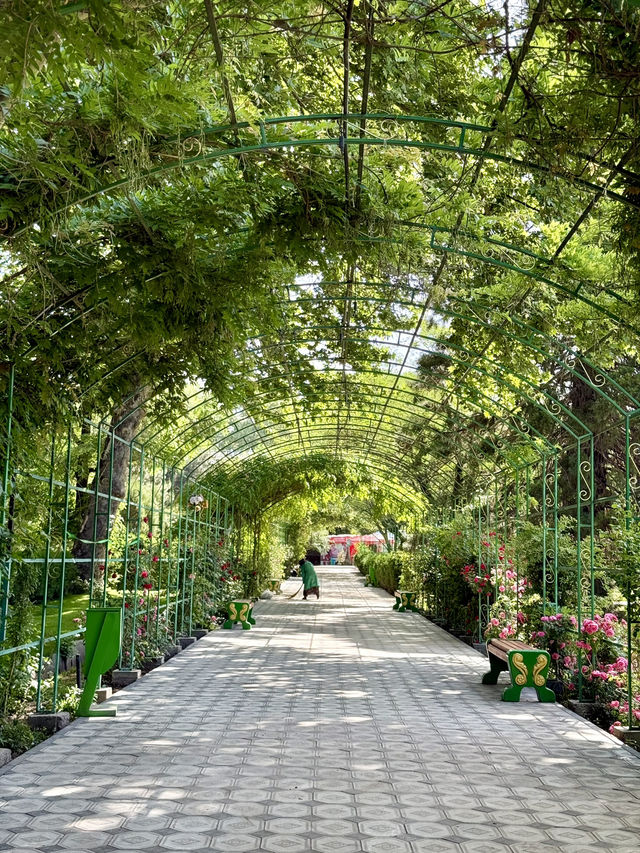 🌿 Park Hopping for Peace in Dushanbe