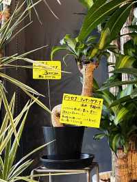 長野・MARUSAN Cafe｜花に囲まれたセンス光る癒しのカフェ体験