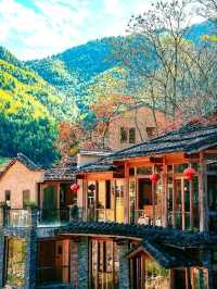 “The Golden Charm of Screenshan: Fujian’s Autumn Wonderland”