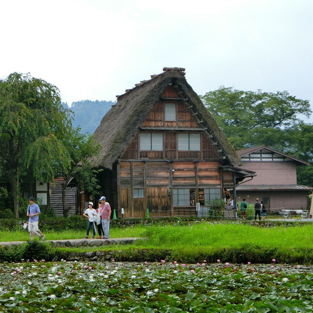 無人不曉的世界文化遺產一白川鄉合掌造