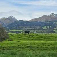 Nature’s Masterpiece: Glenorchy’s Spellbinding Serenity