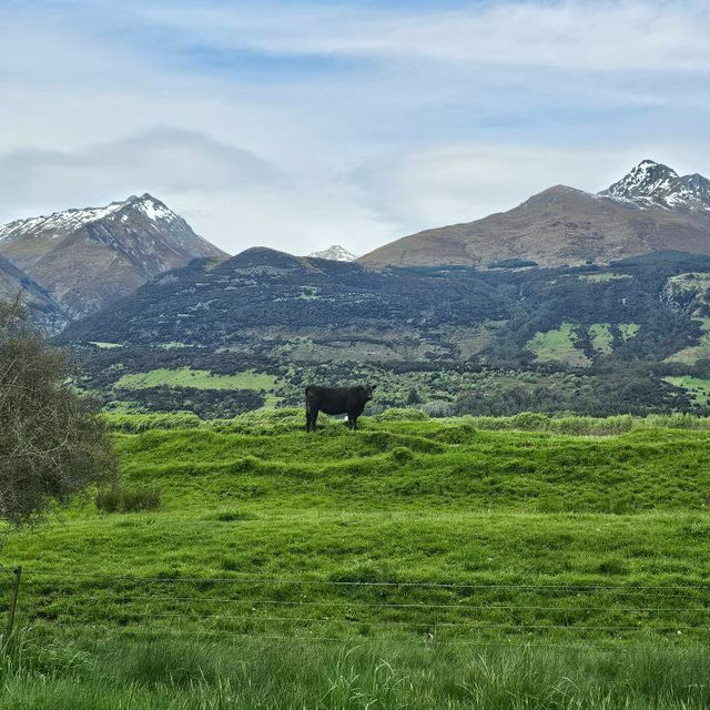 Nature’s Masterpiece: Glenorchy’s Spellbinding Serenity