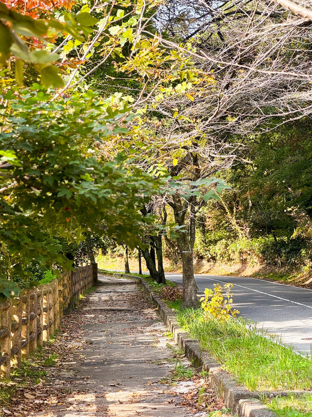 ⛰️도야마 시내 최고의 전망대, ‘쿠레하산 공원 전망대’ 