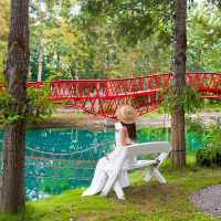   เปิดตัว สวนสาธารณะ The Park Khaoyai Flower Land 