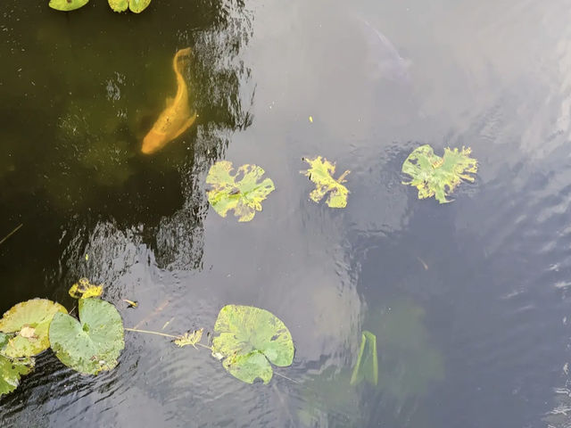 The Botanical Garden of the University of Copenhagen