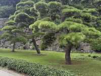 Imperial Palace East National Gardens