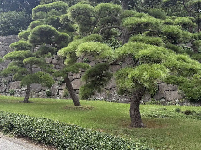Imperial Palace East National Gardens Imperial Palace East National Gardens