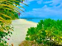 Le Méridien Maldives Resort & Spa — Where Creativity Meets Conservation