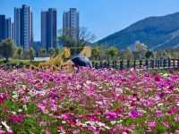 Jeolla Park