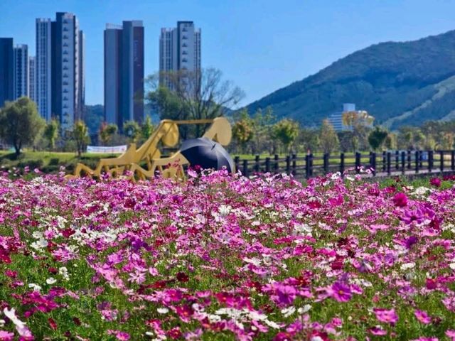 Jeolla Park