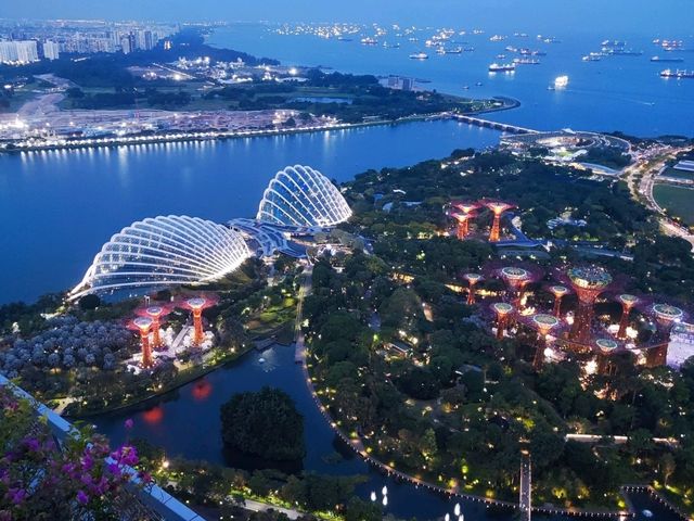 濱海灣金沙的價值? 濱海灣金沙的價值?